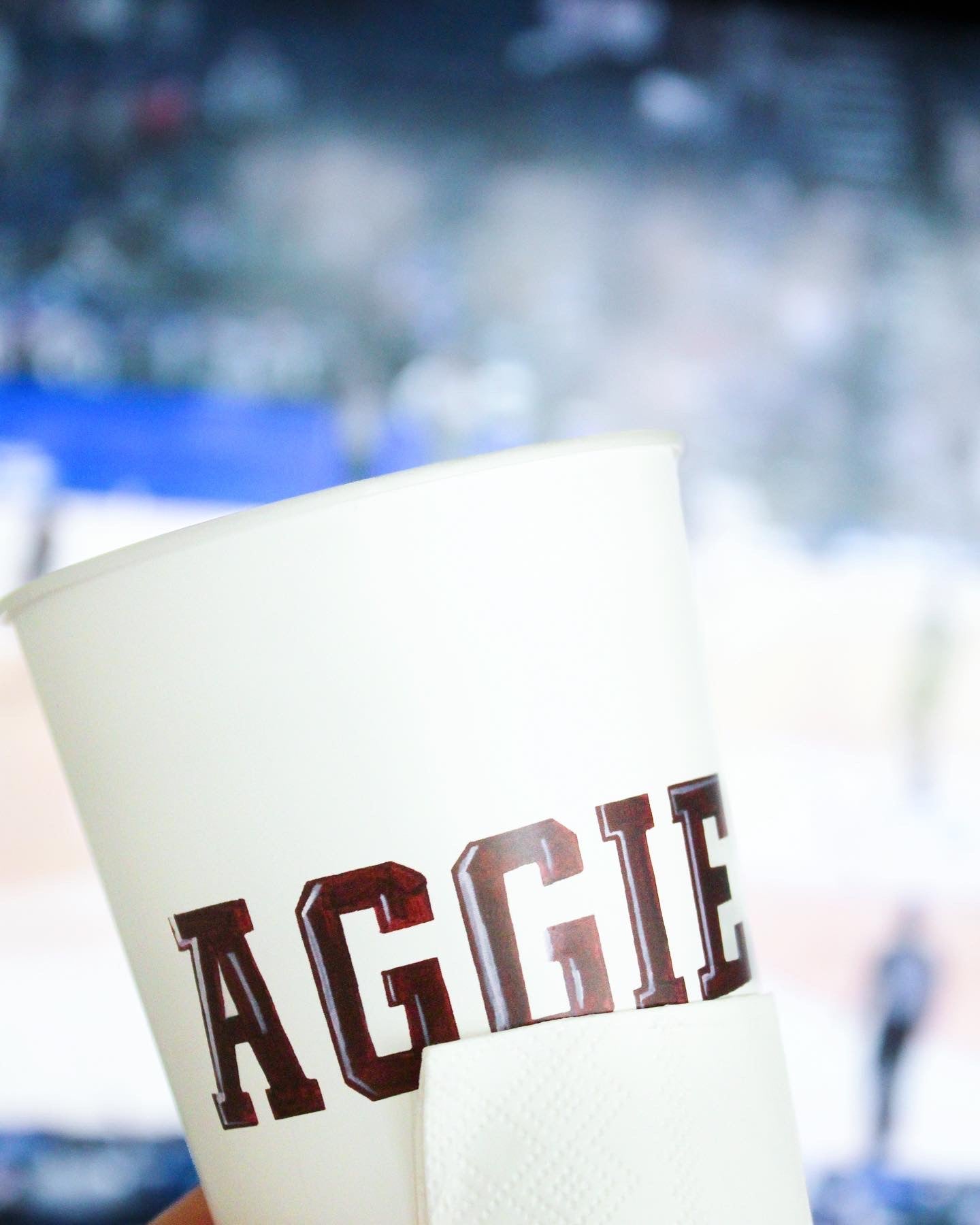 Texas A&M Aggies Reusable Cup Set, Set of 10