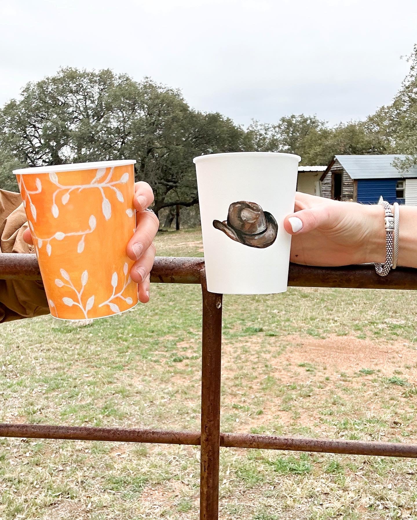 Texas Reusable Cup Sets for Western themed party