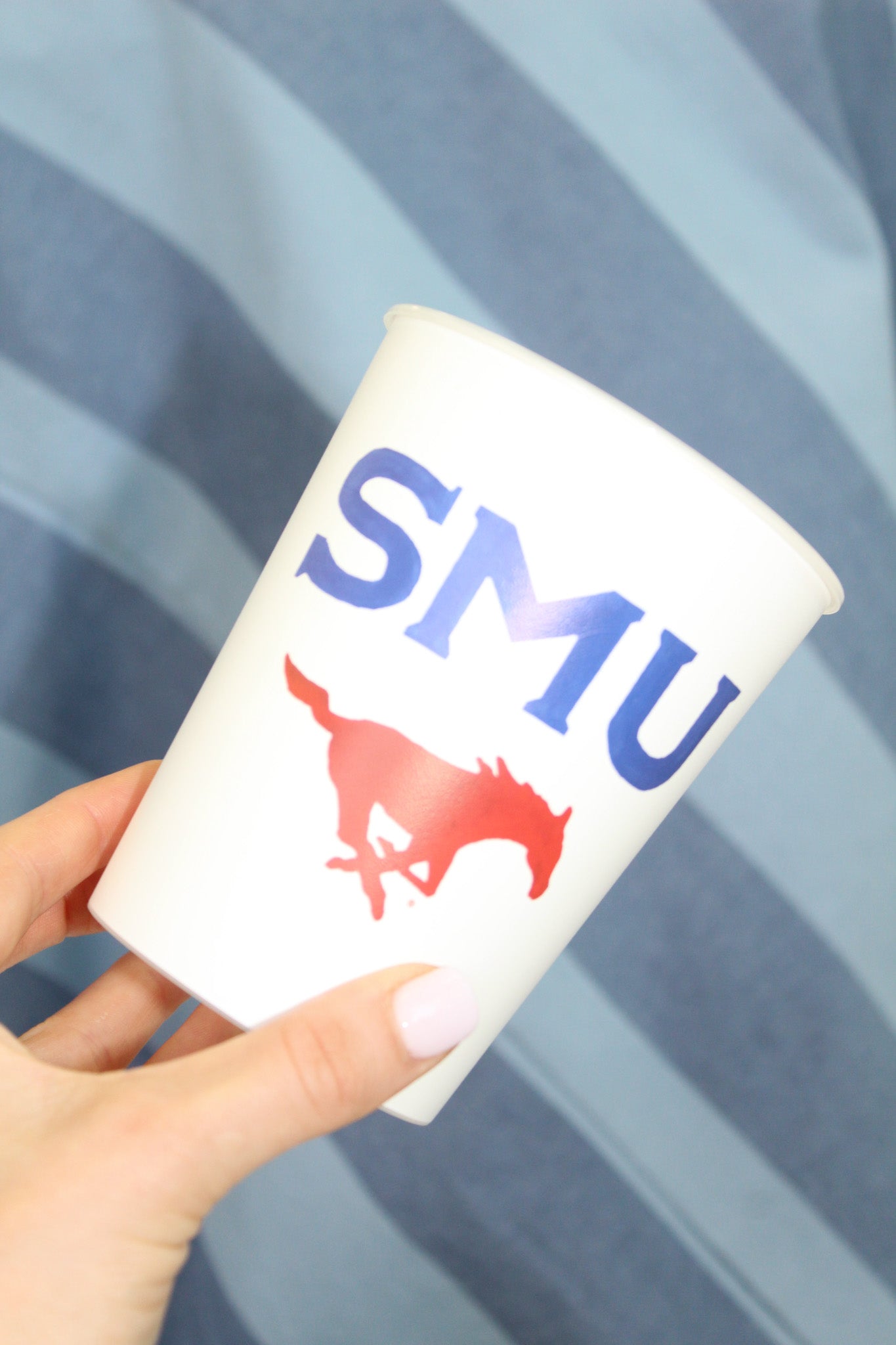 SMU Mustangs Reusable Cup Set