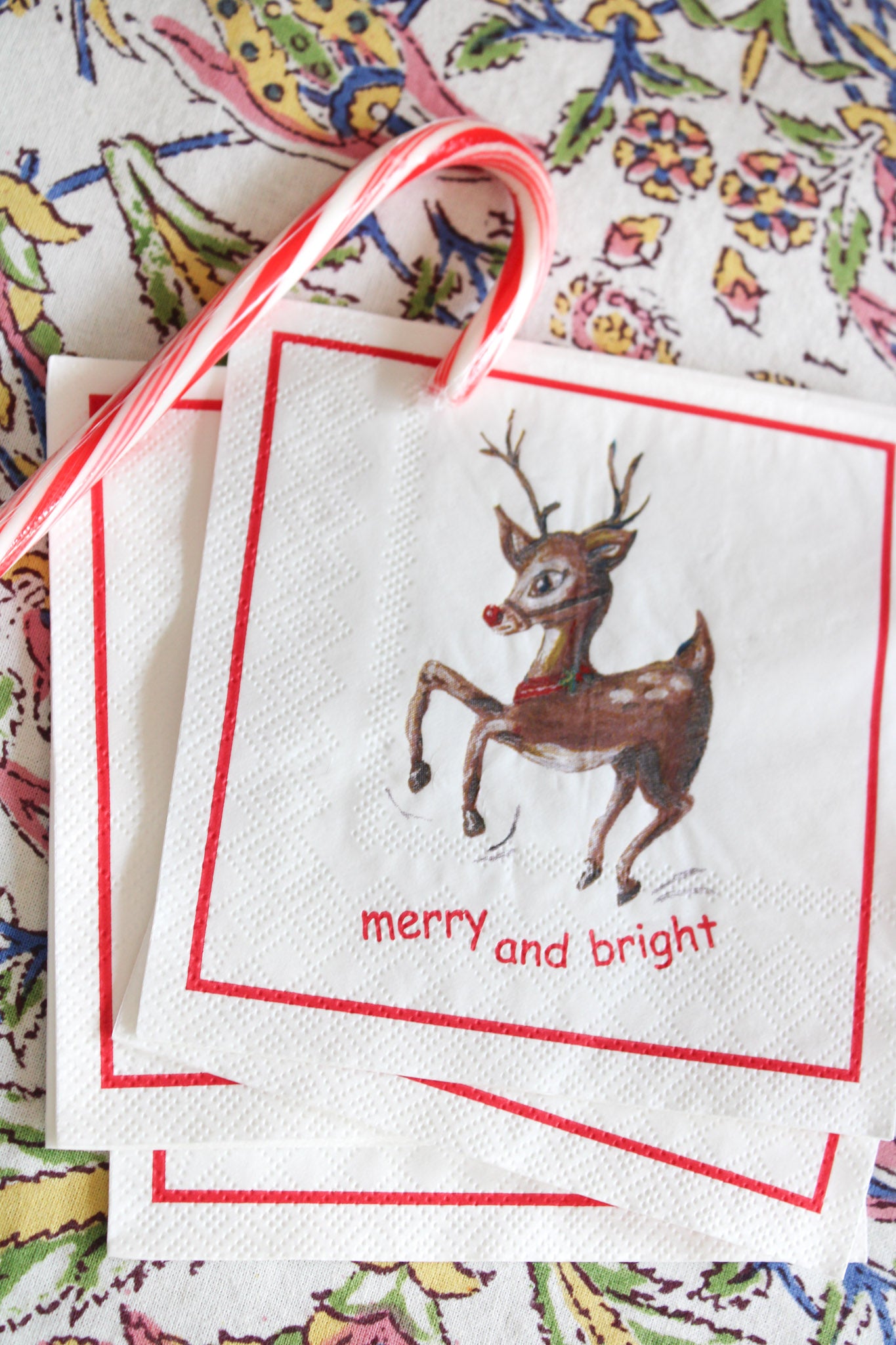 Merry and Bright Napkin Set by FOSTER