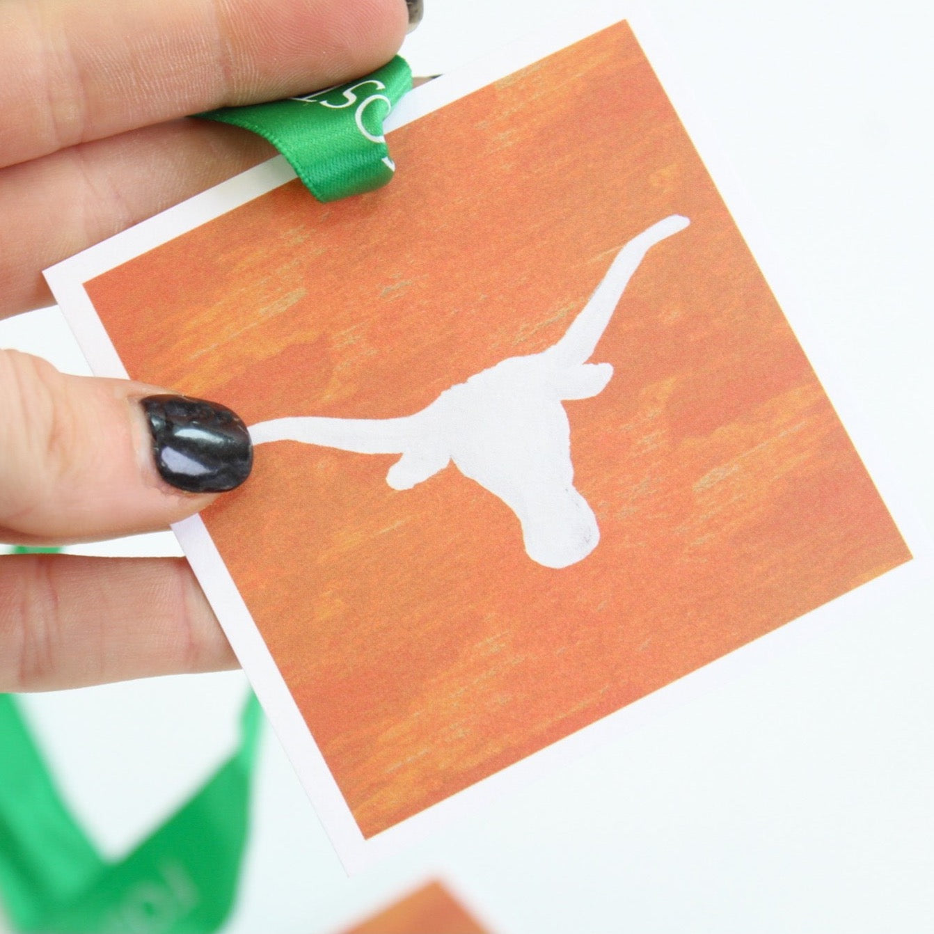 University of Texas UT Longhorns gift tag set
